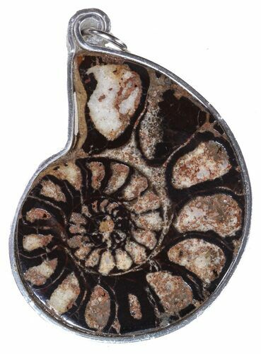Moroccan Ammonite Fossil Pendant #58353